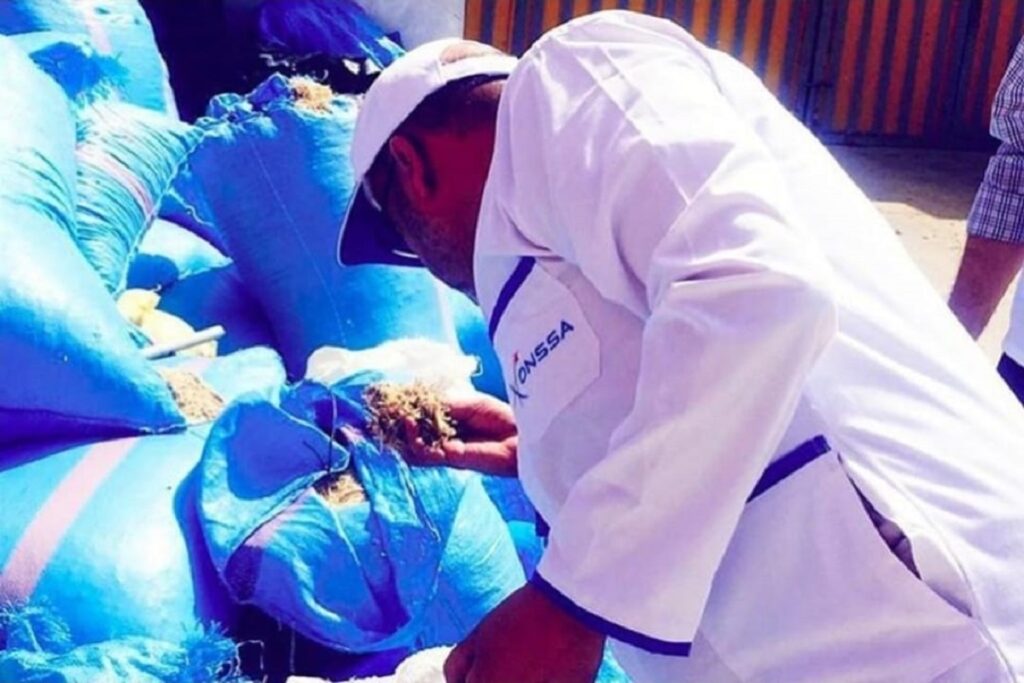 إخطارات الأغذية المغربية في أوروبا.. 19 حالة خلال 8 أشهر بين الرصاص والسالمونيلا والمبيدات والنوروفيروس إخطارات الأغذية المغربية في أوروبا تسجل 19 حالة خلال سنة 2026